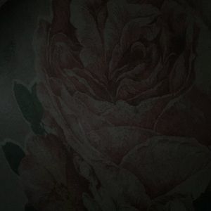 Meet your Posher, Myint